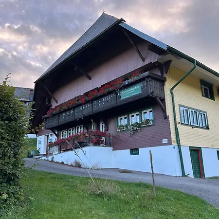 Lejlighed Schwarzwaldhus Tannenblick Todtmoos